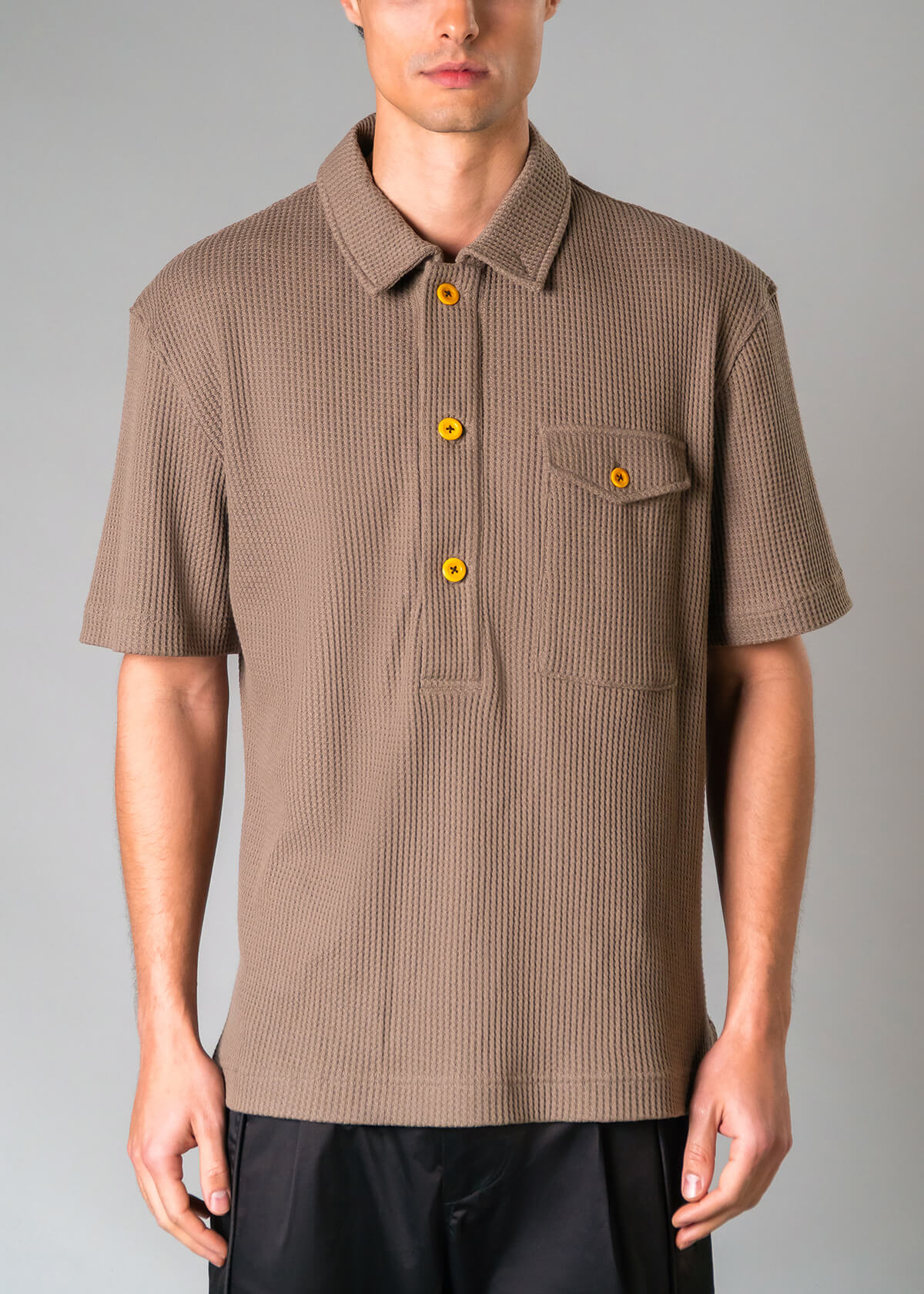 Vintage Polo Bark