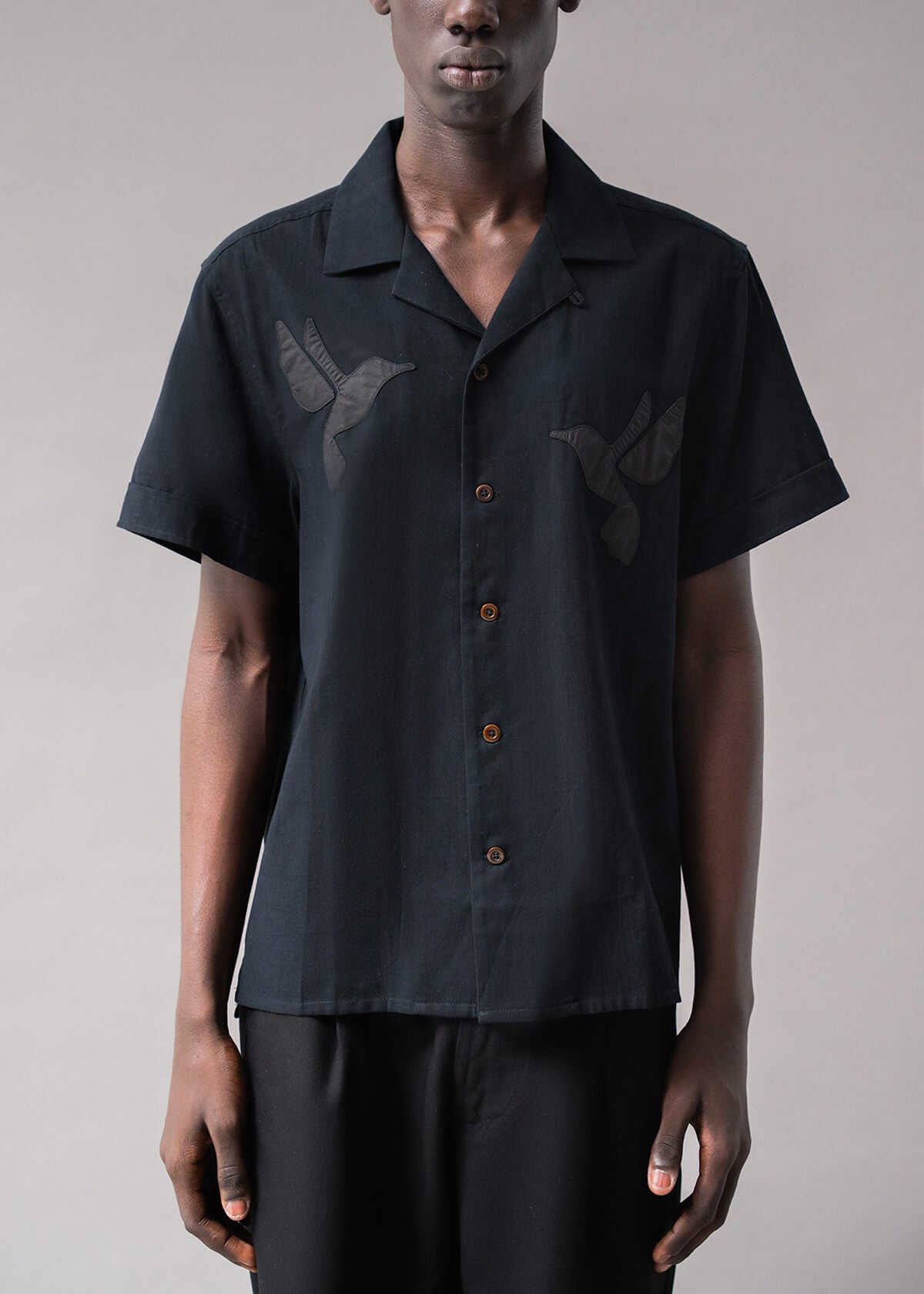 Hummingbird Black