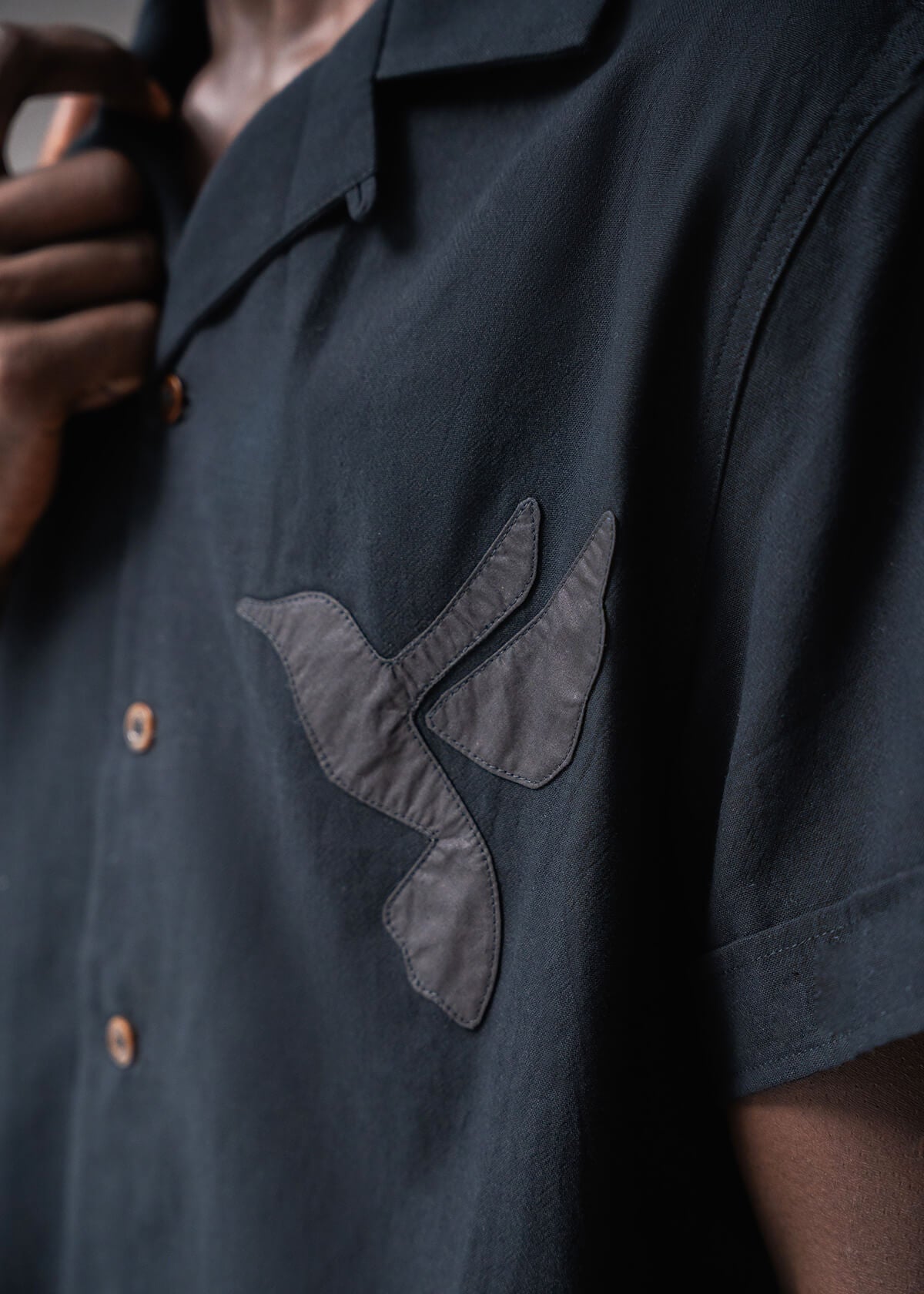 Hummingbird Black